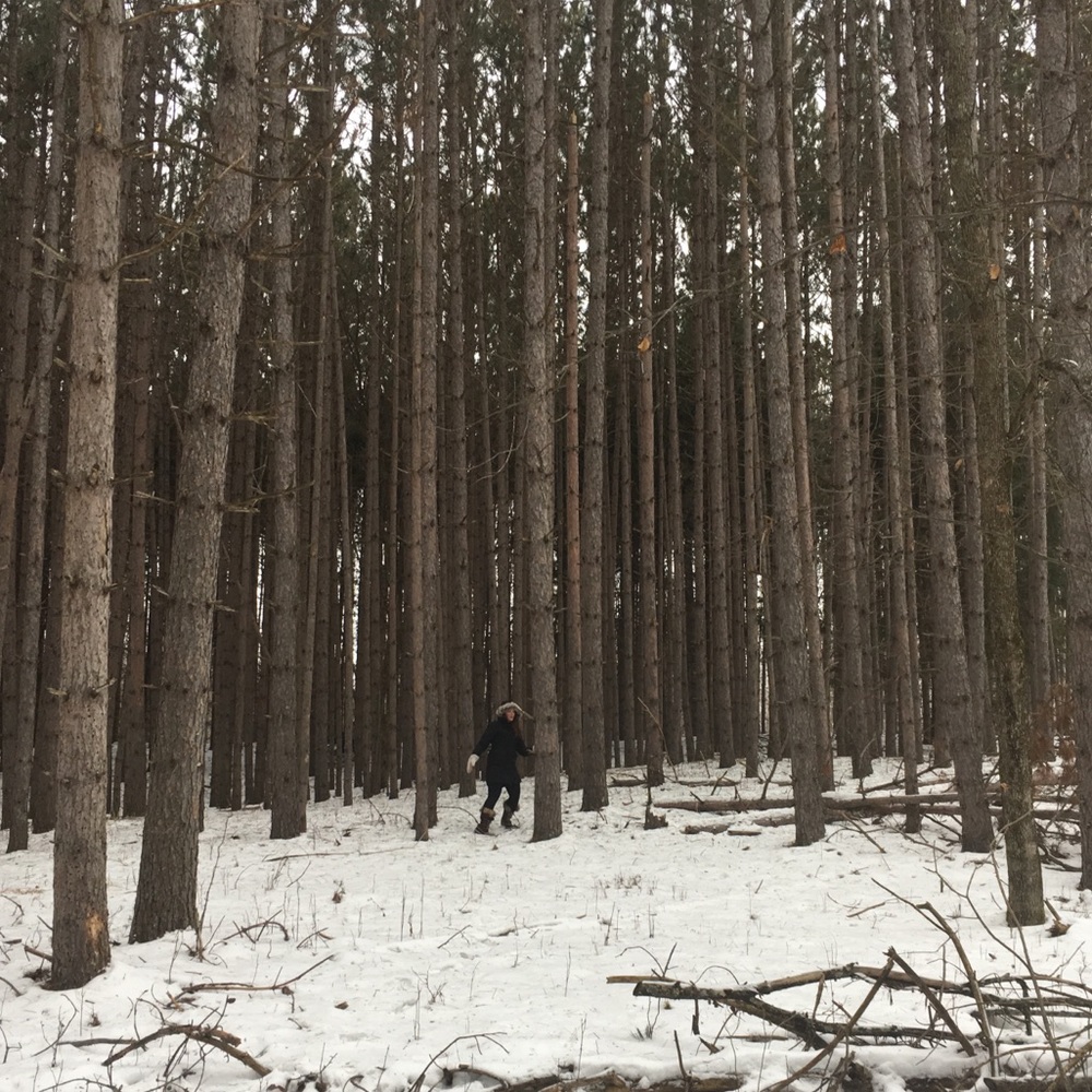 Meet your Posher, Beth